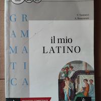 IL MIO LATINO

GRAMMATICA
ISBN9788848263849
