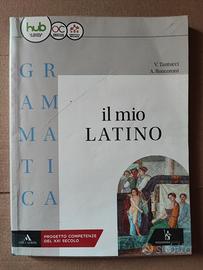 IL MIO LATINO

GRAMMATICA
ISBN9788848263849