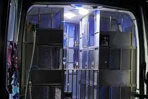 Opel movano trasporto animali