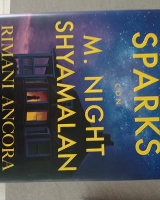Romanzo di Nicholas Sparks
