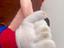 Immagine 5