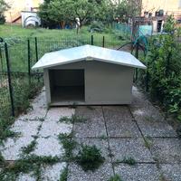 cuccia per cani