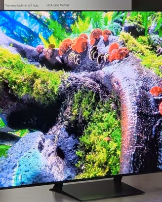 Samsung S95 QLED  55" Top Gamma 4K OneConect 