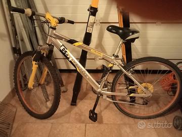 bicicletta 