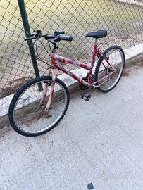 Bicicletta 26