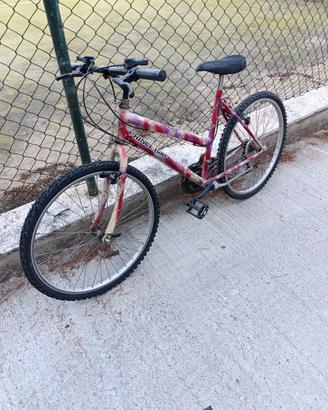 Bicicletta 26