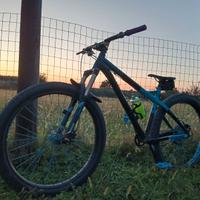 Bici da enduro