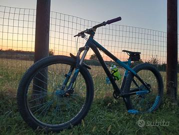 Bici da enduro