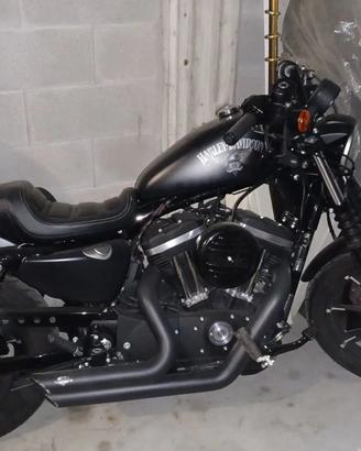 Harley Davidson 883 Iron
