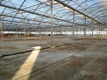 Vendita azienda agricola
