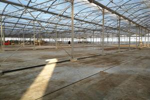 Vendita azienda agricola