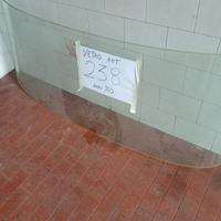 parabrezza 238 