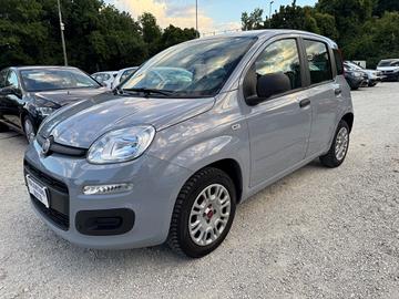 Fiat Panda 1.2 Benzina 69Cv Easy