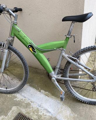 Mountain bike
