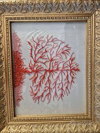 quadro in corallo