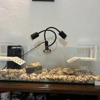 Acquario 110 litri per tartarughe d’acqua