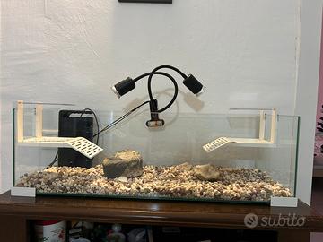 Acquario 110 litri per tartarughe d’acqua