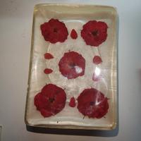 portasapone arredo bagno 