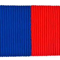 PINELLI PINO  T/M cm 82x62 plexiglass 100x79