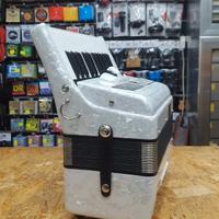 Fisarmonica DAM 48 Bassi 3 Registri Bianca