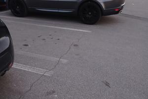 rang rover sport 3.dt