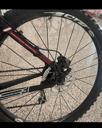 MTB Focus Black Forest 26