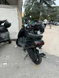 zip 50 fast rider