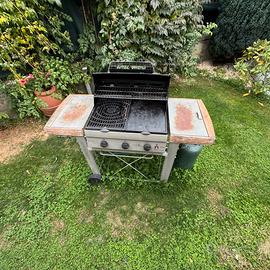 Barbecue camping gas a gas