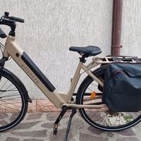 E Bike Denver villett Amant automatica seminuova