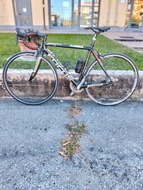 Bici da strada Focus in carbonio