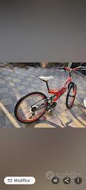 bicicletta per ragazzo