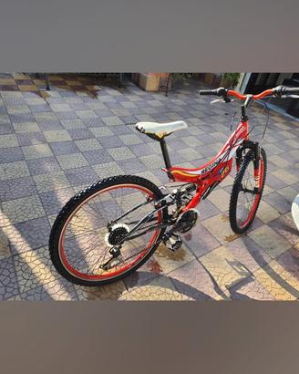 bicicletta per ragazzo