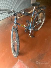 Bicicletta