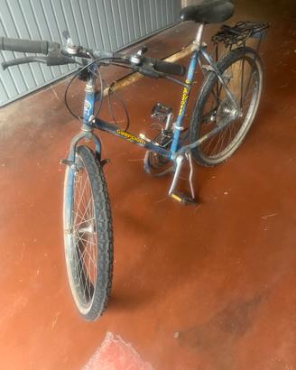 Bicicletta
