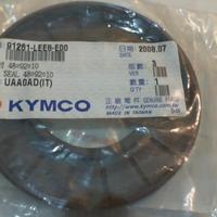 PARAOLIO 48 X 92 X 10 KYMCO 00192041