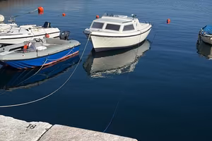 Pilotina lombardini 25cv