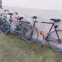 biciclette varie