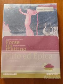 Libro Forse un Mattino Liceo Artistico