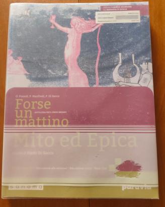 Libro Forse un Mattino Liceo Artistico