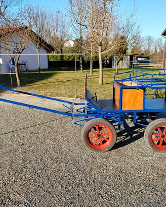 carrozza per cavallo artigianale