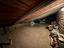Immagine 14