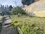 Immagine 23