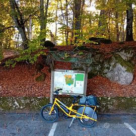 Yuba kombi cargo bike