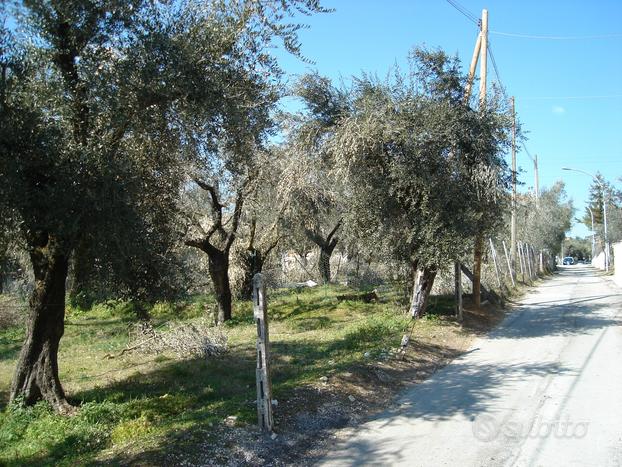 Terreno edificazione diretta