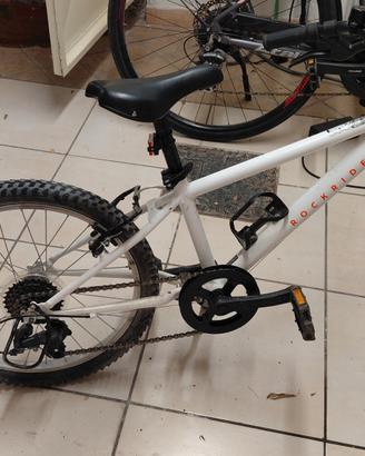 bicicletta