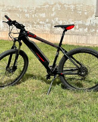 Bicicletta Elettrica