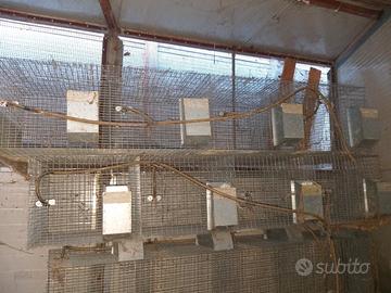 Gabbie per conigli vari modelli