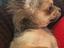 Immagine 6