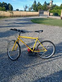 mountain bike