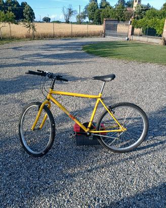 mountain bike
